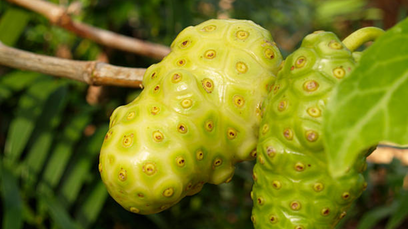 trai-nhau-ngam-mat-ong-co-loi-ich-gi 1