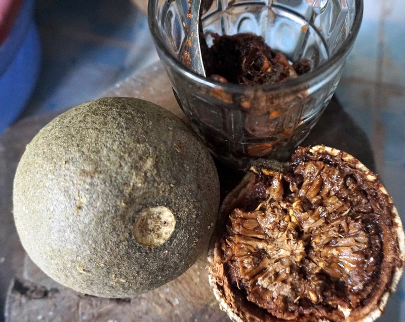 Trái quách ăn hạt được không 3