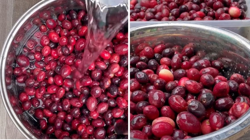 Nên dùng trái siro đúng cách, đủ lượng, tốt cho sức khỏe