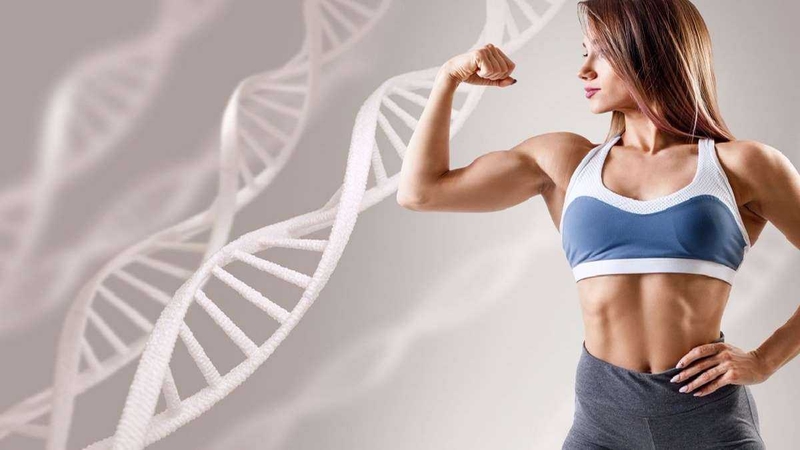 Trao đổi chất là gì? Cách thúc đẩy quá trình trao đổi chất 1