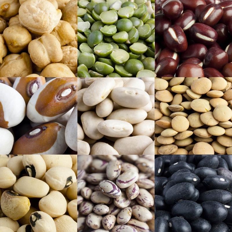 Trào ngược dạ dày nên ăn gì: nên ăn các loại đậu