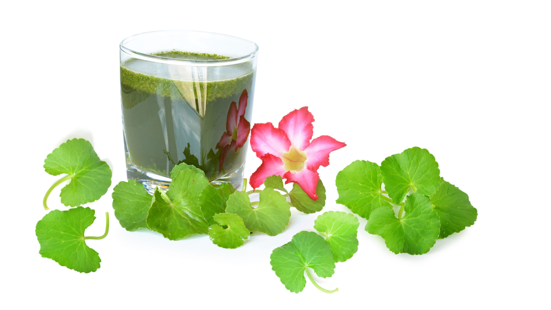 Rau má có nhiều tác động tích cực đến sức khỏe hệ tiêu hóa