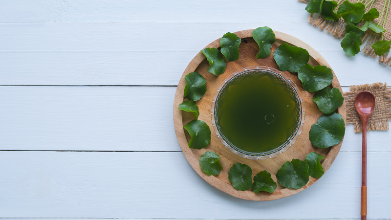 Uống rau má đúng hàm lượng khuyến cáo để đảm bảo an toàn