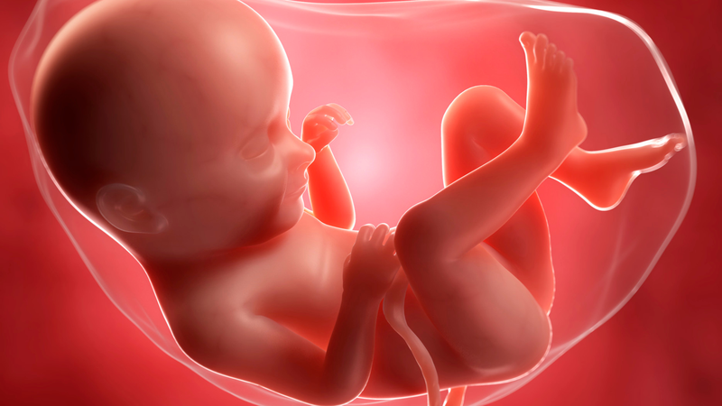 Chiều dài nằm theo tuổi phản ánh sự tăng trưởng tích lũy của trẻ từ trong bào thai