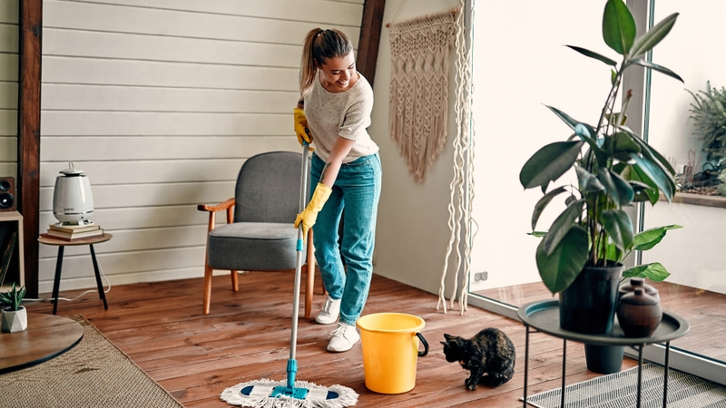 Giữ không gian thoáng mát, tránh khói bụi và các tác nhân gây dị ứng tiềm ẩn