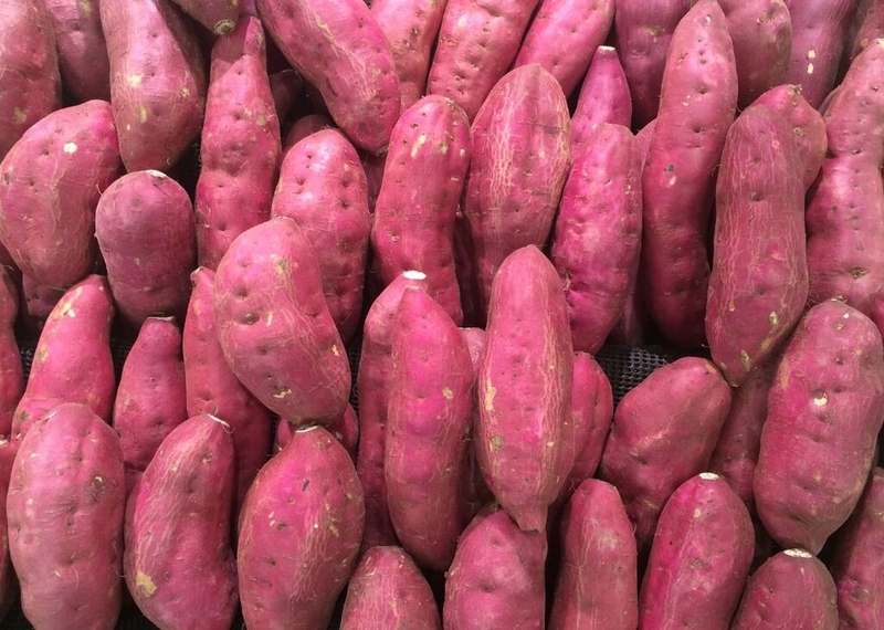 Trẻ 6 tháng có ăn được khoai lang không? Những lưu ý khi cho trẻ 6 tháng ăn khoai lang 3