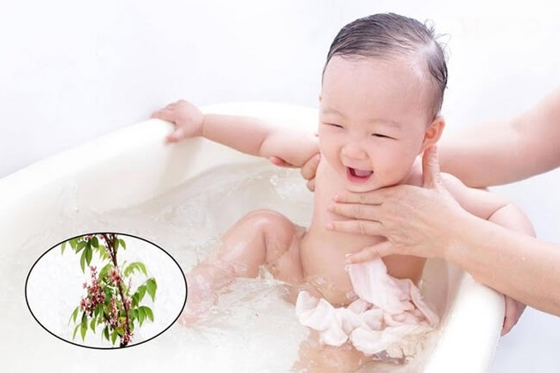 Trẻ bị rôm sảy tắm nước là gì: Tắm nước lá khế