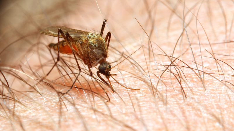 tre-bi-sot-ret-run-phai-lam-sao 1