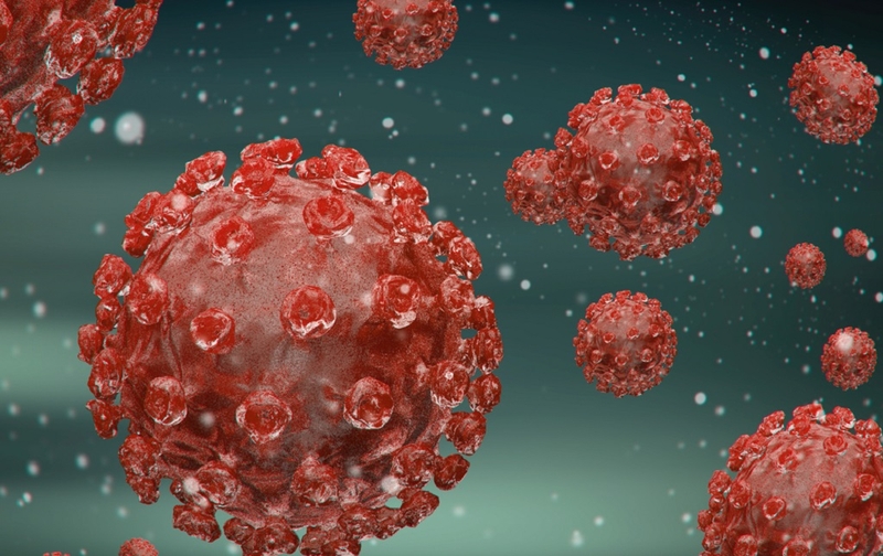 Trẻ bị tay chân miệng có lây cho người lớn không 1