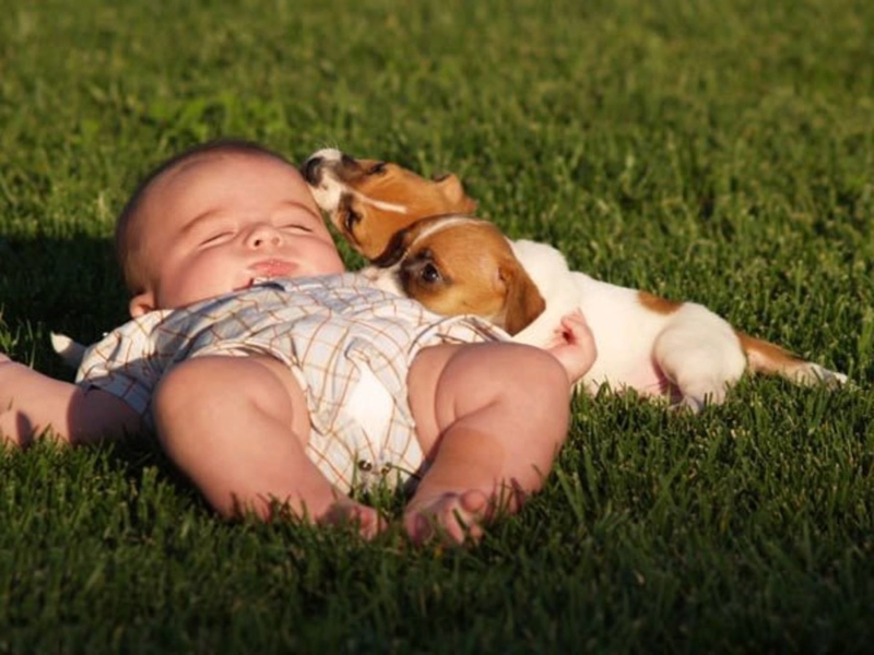 tre-coi-xuong-can-bo-sung-gi-de-khac-phuc-benh-ban-co-biet 3.jpg