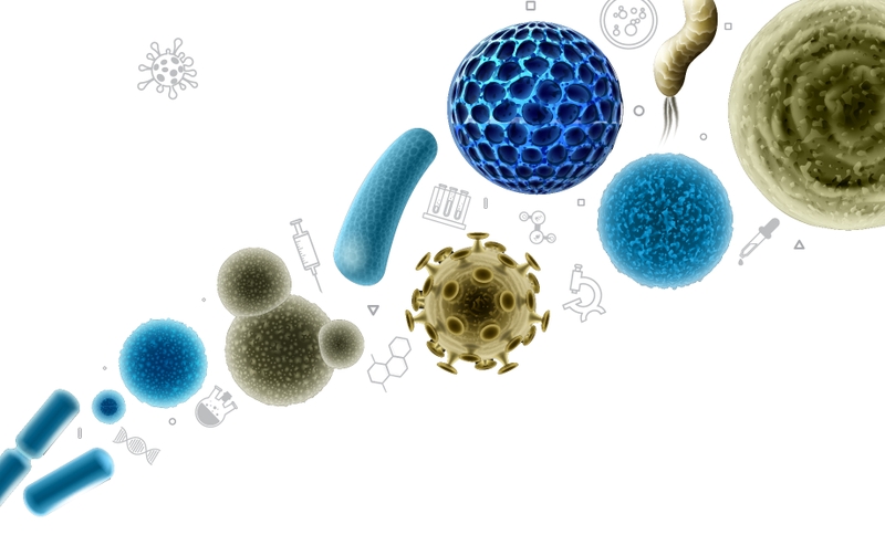 Trẻ đi bơi về bị sốt: Nguyên nhân và cách phòng tránh 2