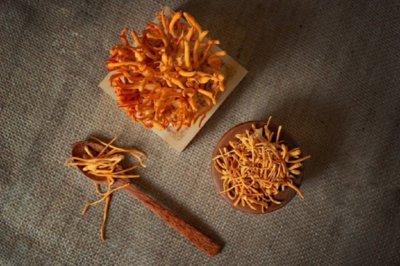 Trẻ em ăn đông trùng hạ thảo được không? Cách sử dụng ra sao? 1