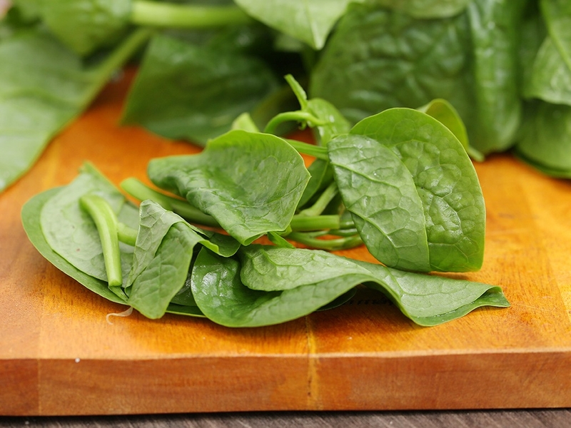 Trẻ em ăn rau mồng tơi có tốt không? Những lưu ý khi cho trẻ ăn rau mồng tơi 1