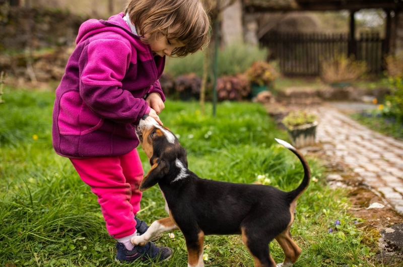 trẻ em bị chó cắn phải làm sao 2