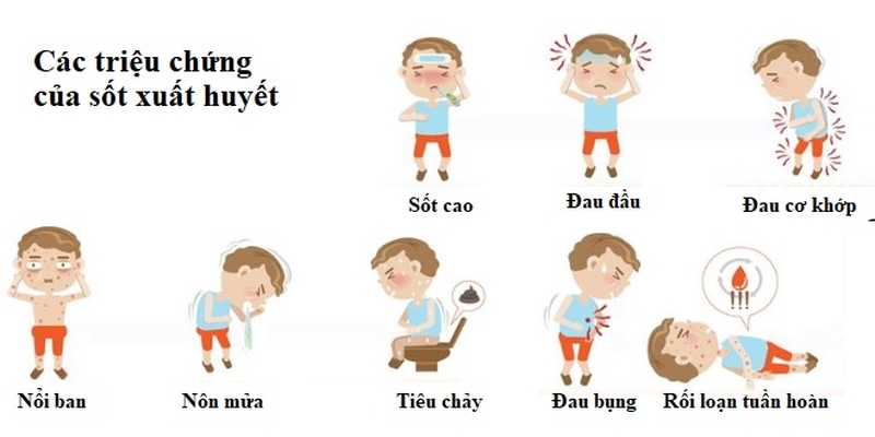 Trẻ em bị muỗi đốt bao lâu thì bị sốt xuất huyết 2