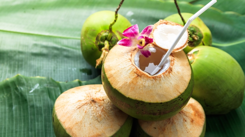 Cho trẻ uống nhiều nước dừa có thể bị tiêu chảy