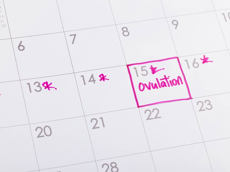 Trễ kinh 20 ngày thai được mấy tuần tuổi? Cách tính tuổi thai chính xác 1