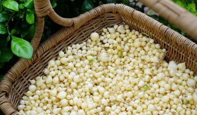 tre-may-thang-an-chao-la-thich-hop 3.jpg