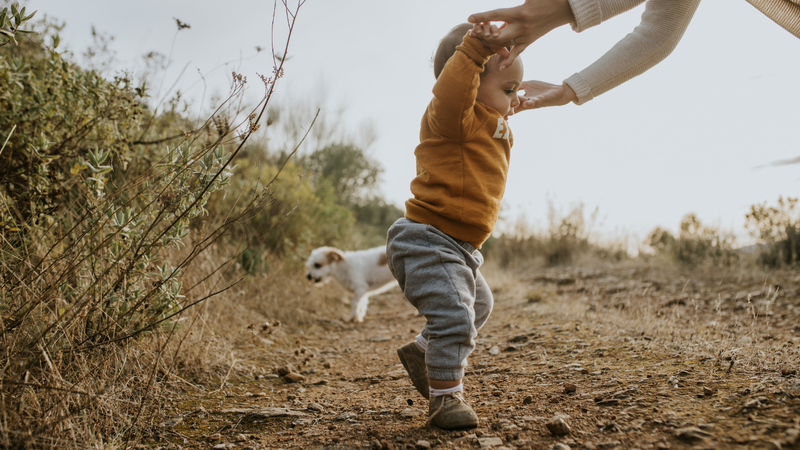 Trẻ mấy tháng biết đi? Mốc phát triển chuẩn của bé