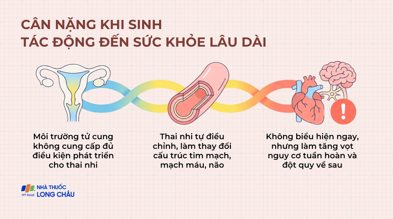 Cân nặng khi sinh phần nào phản ánh điều kiện phát triển của thai nhi trong tử cung