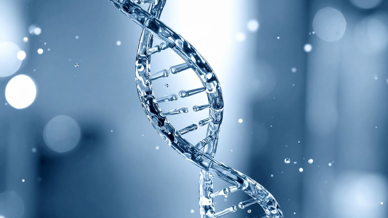 Đặc điểm di truyền đóng vai trò nền tảng