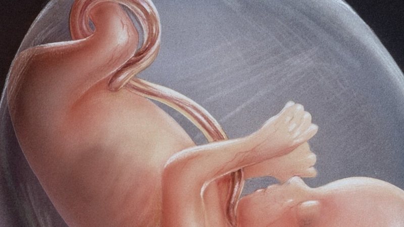 Trẻ sơ sinh uống nước ối có sao không? 1