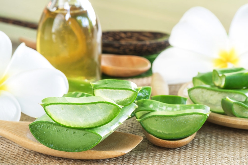 Trị gàu và rụng tóc bằng nha đam, bạn đã thử chưa? 1