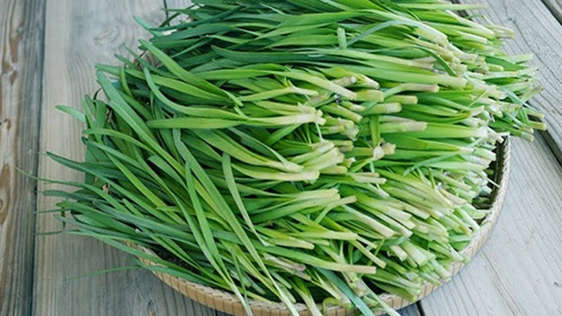 Những cách trị ho cảm cúm bằng mật ong hiệu quả tức thì 3