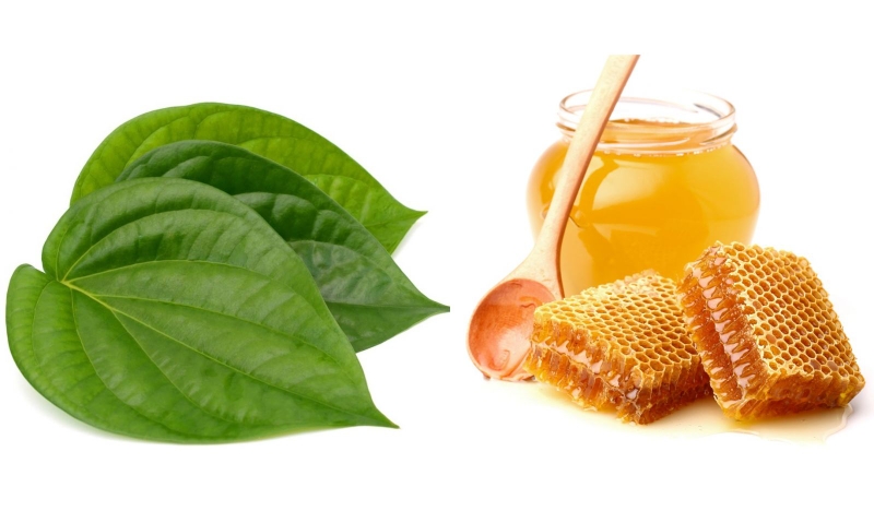 Trị ho đờm bằng lá trầu không 2