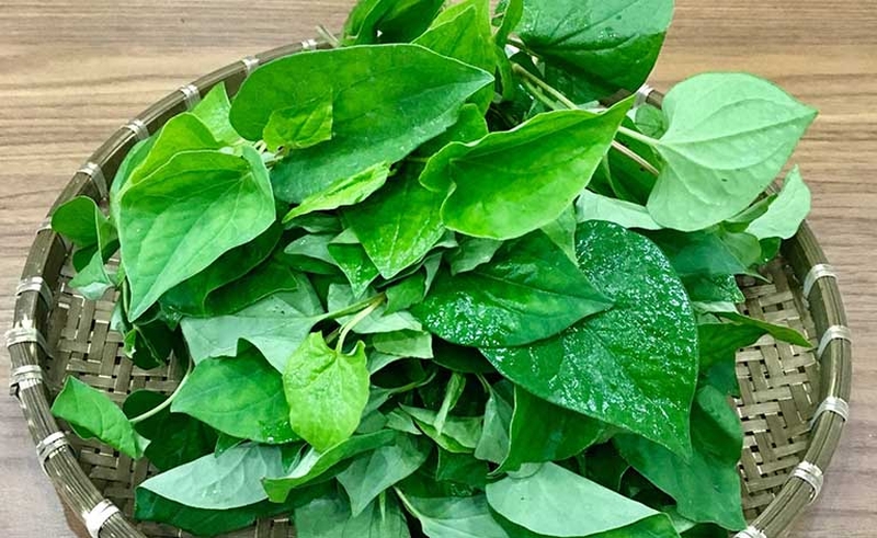 Chữa viêm tai giữa dân gian hiệu quả bất ngờ 3