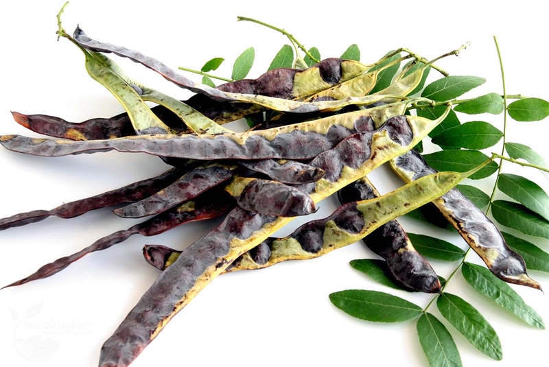 Trị huyết trắng bằng rau diếp cá có thực sự hiệu quả? 3