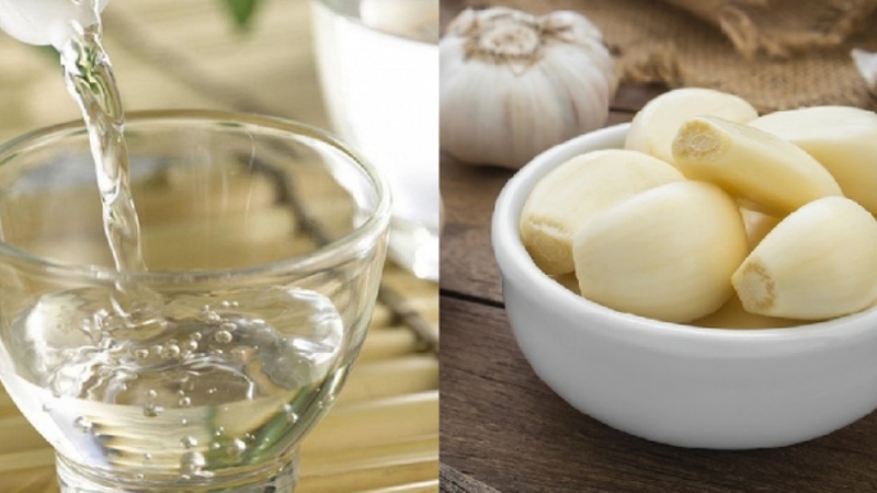 Trị liệu đông y: Cách ngâm rượu tỏi chữa bệnh xương 4