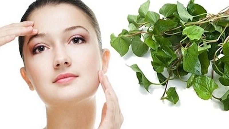Trị mụn ẩn bằng&nbsp;rau diếp cá có hiệu quả hay không?