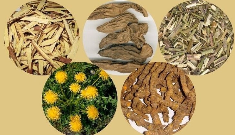 Dùng thuốc Đông y trị mụn có thực sự đem lại hiệu quả không? 2