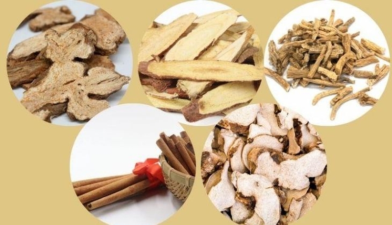 Dùng thuốc Đông y trị mụn có thực sự đem lại hiệu quả không? 3