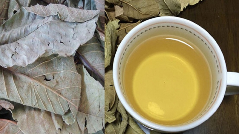 Trị nấm da đầu bằng lá ổi và dầu dừa