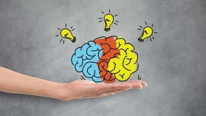 tri-nho-khai-niem-phan-loai-vai-tro-va-mot-so-van-de-lien-quan-den-tri-nho 2.jpg