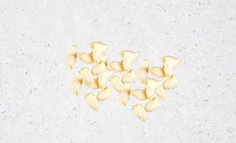 Cách trị rụng tóc bằng hạt bưởi không phải ai cũng biết 2