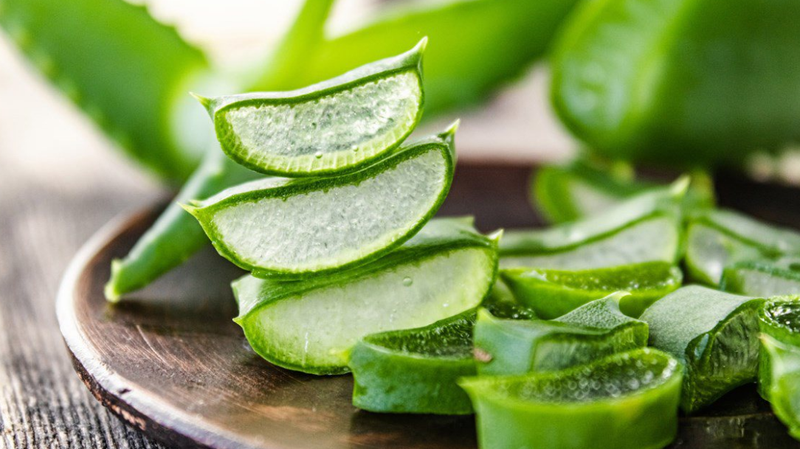 Trị sẹo bằng nha đam giúp giảm viêm, ngăn ngừa sẹo 1