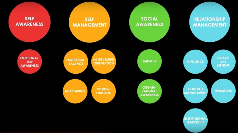 Trí thông minh cảm xúc là gì? Rèn luyện trí tuệ cảm xúc như thế nào? 2