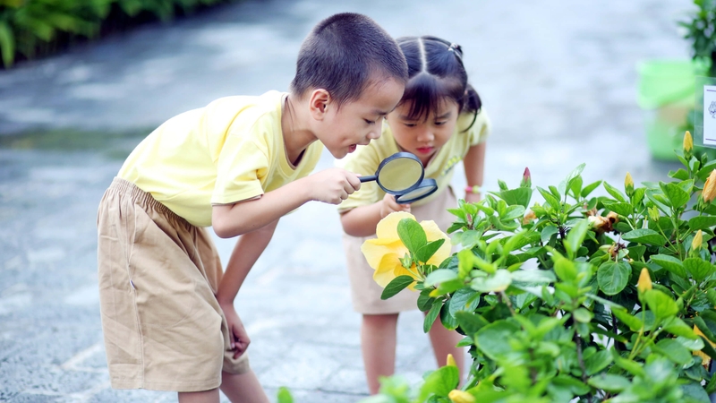 Trí thông minh có phải do di truyền? Mẹo tăng cường trí thông minh cho trẻ 3