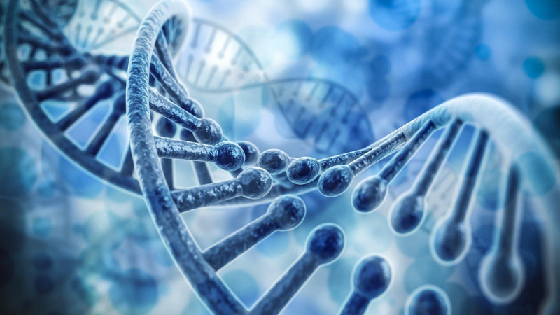 triet-long-gay-la-gi-co-nen-triet-long-gay 2