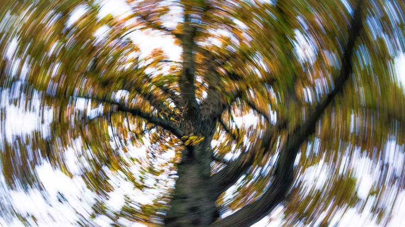 nên khi đi khám sớm nếu xuất hiện dấu hiệu chóng mặt thường xuyên