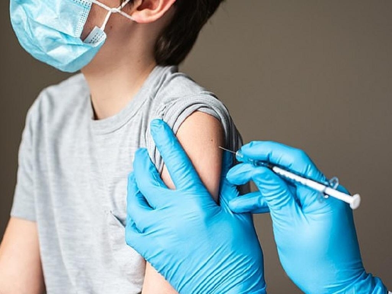 triệu chứng khi bị mèo dại cắn 4