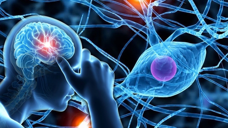 Rối loạn thần kinh thực vật có triệu chứng gì? Phòng tránh bệnh như thế nào? 3