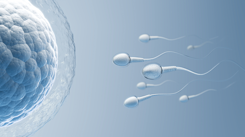 Testosterone ảnh hưởng trực tiếp đến sản xuất tinh trùng