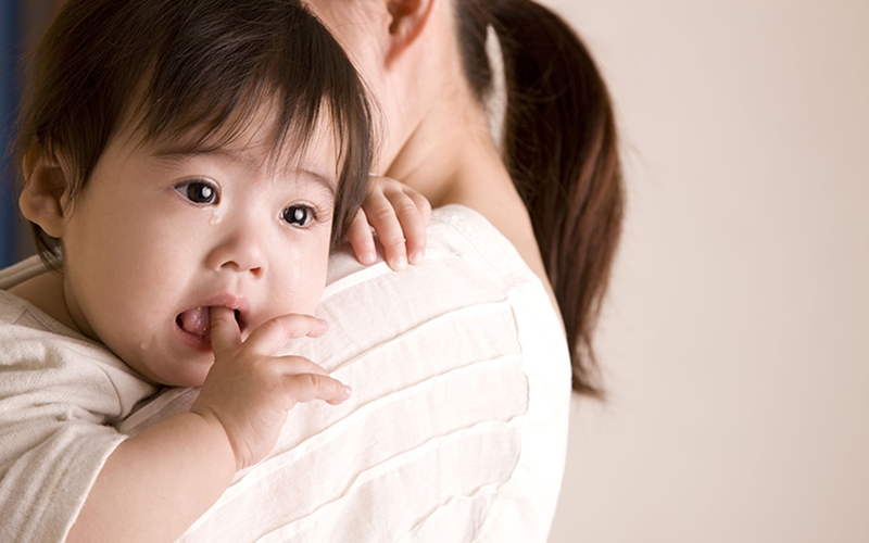 Triệu chứng và cách khắc phục khi bé bị côn trùng cắn sưng tấy1