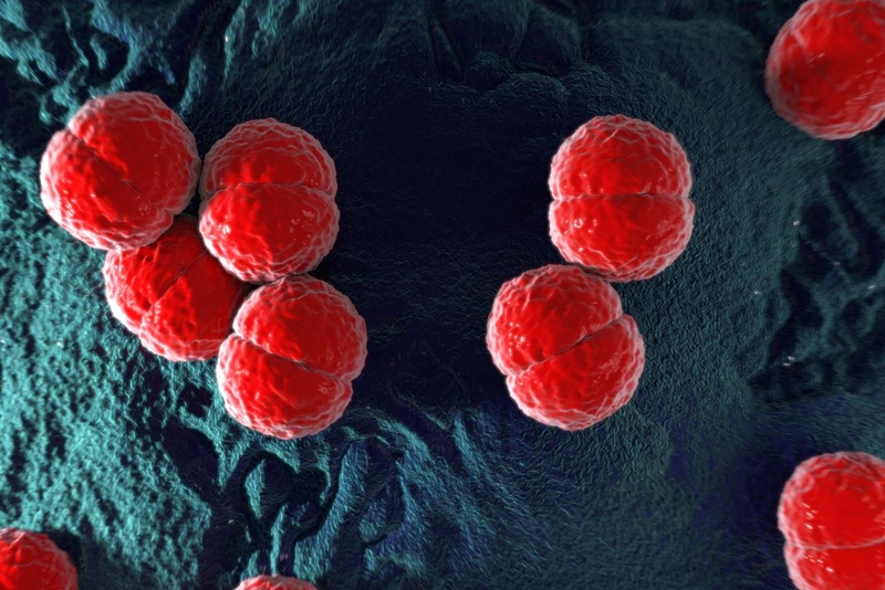 Triệu chứng và cách phòng ngừa viêm màng não do não mô cầu nhóm B1