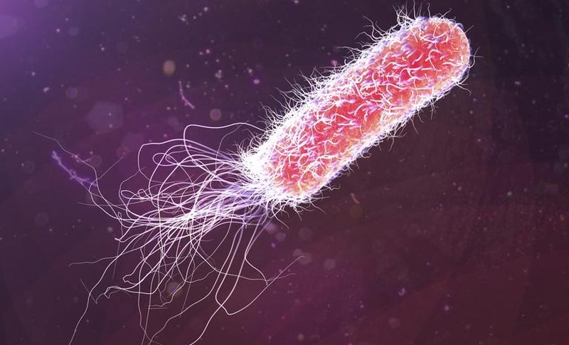 Triệu chứng viêm tai ngoài, đọc để tránh nhầm lẫn! 2