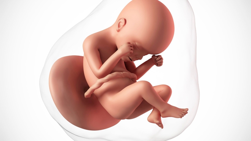 Trisomy 18 ảnh hưởng đến sự phát triển của thai nhi